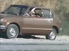 Daneză-vintage