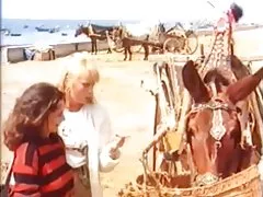 Germană clasic