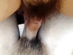 Păros cocoş