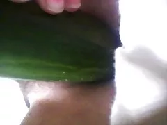 Păros păsărică soţia