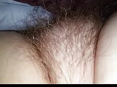 Păros groapă, big tit, biberon, păsărică păros moale.