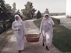 Recoltă stricăcioase monahii (camaster)