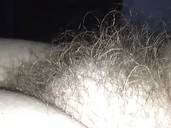 Vedere laterală: meu sotiilor timp moale păros păsărică
