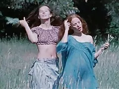 Pădure murdare