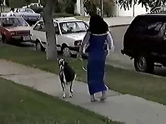 Cocosatul de la urât despan xxx