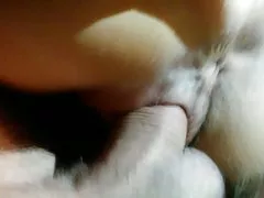 Am